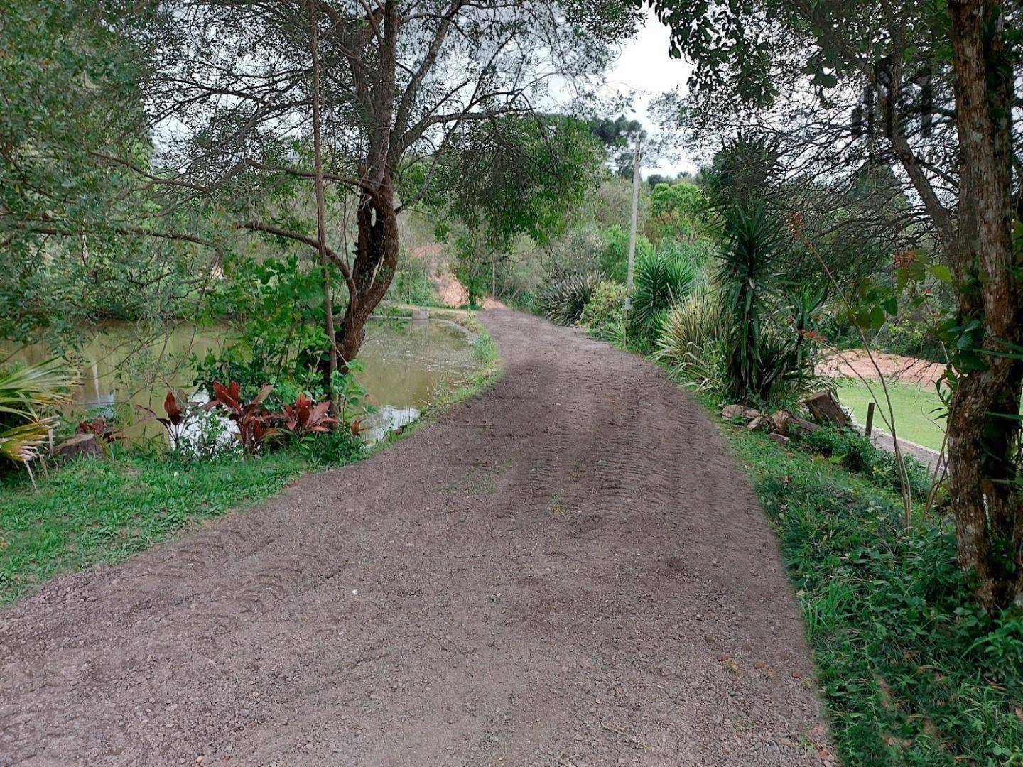 Chácara, 3 hectares - Foto 6