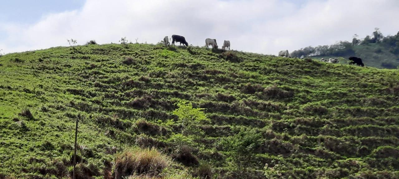 Fazenda à venda, 694m² - Foto 13