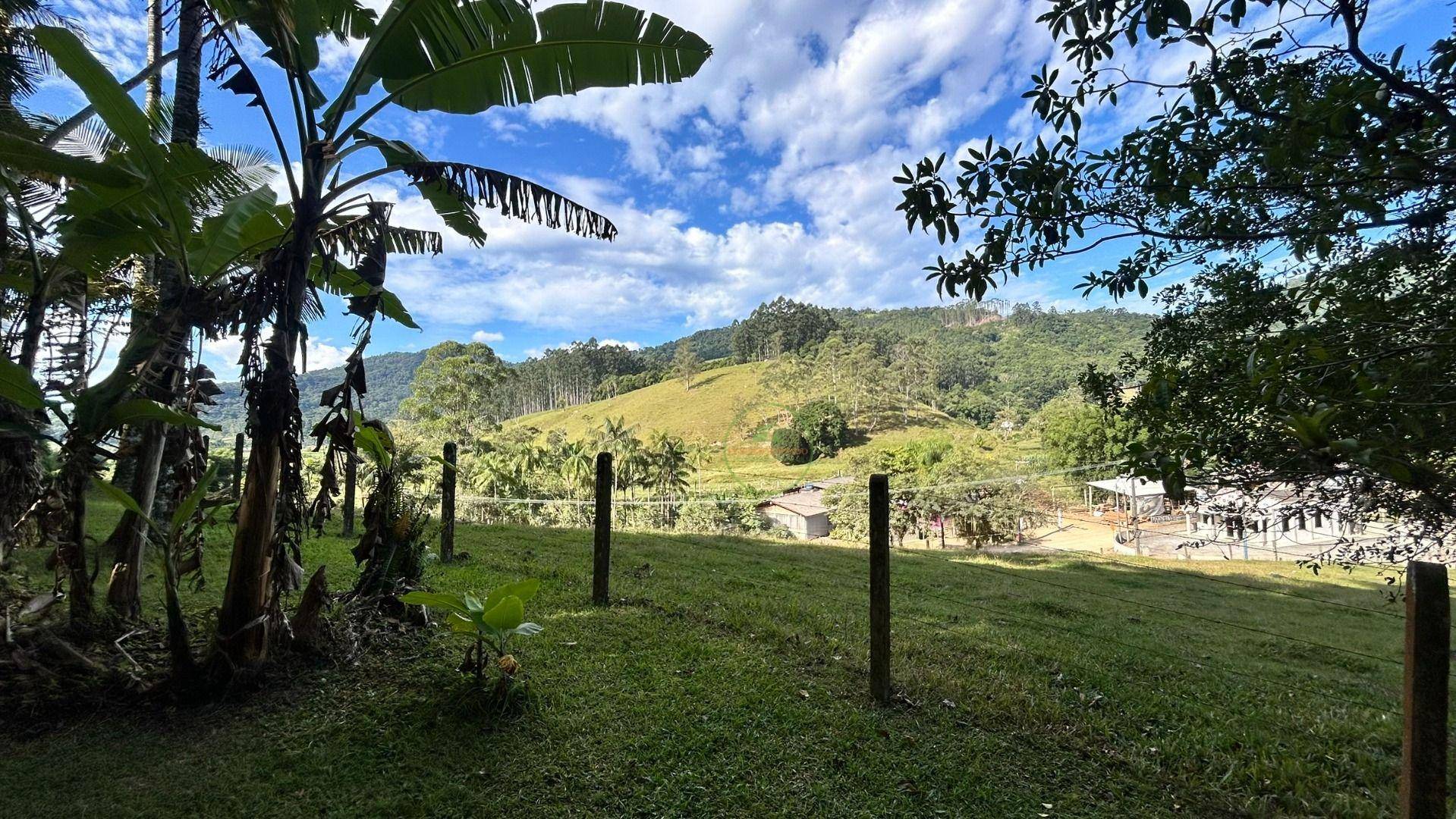 Sítio, 3 hectares - Foto 53