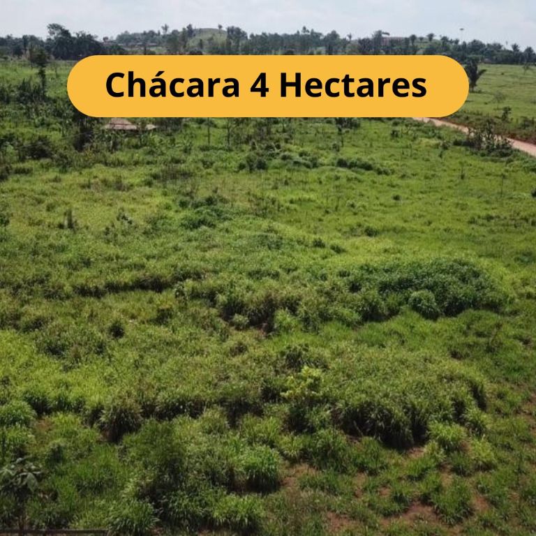 Chácara, 1 quarto, 4 hectares - Foto 1