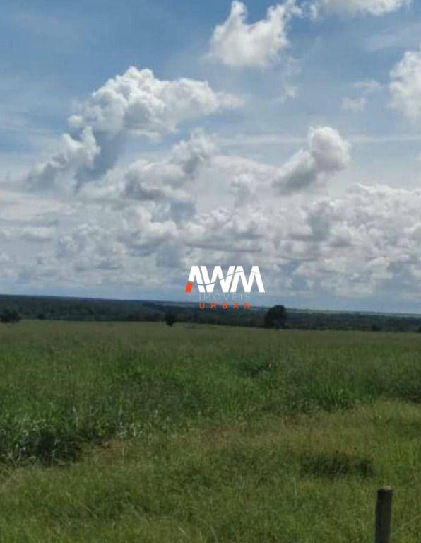 Fazenda, 439 hectares - Foto 3