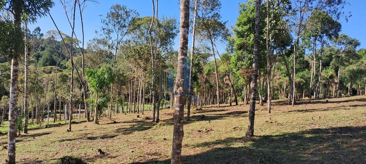 Chácara à venda, 5000m² - Foto 18