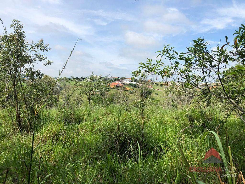 Terreno à venda, 101200M2 - Foto 5
