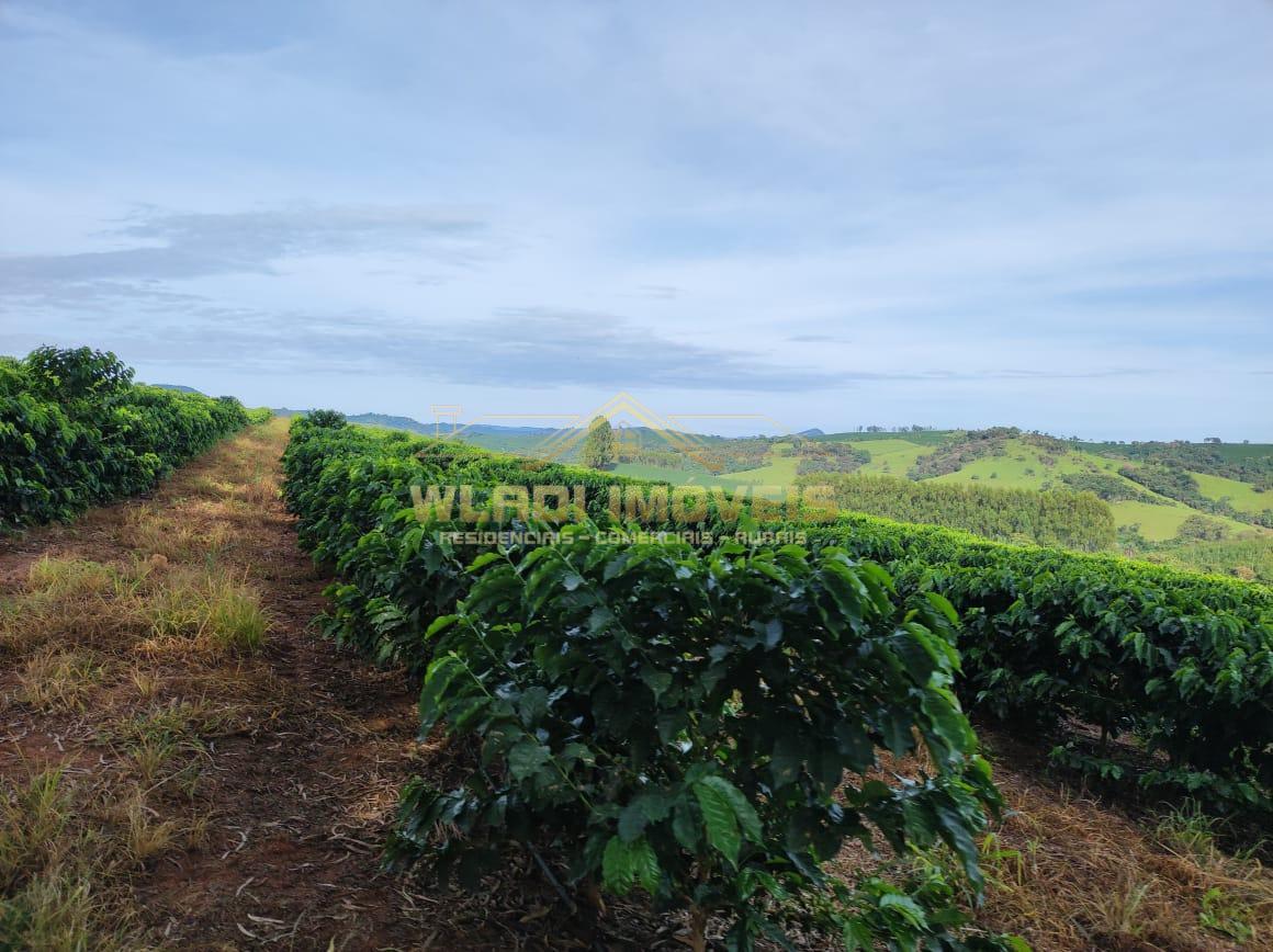 Fazenda à venda, 300m² - Foto 12