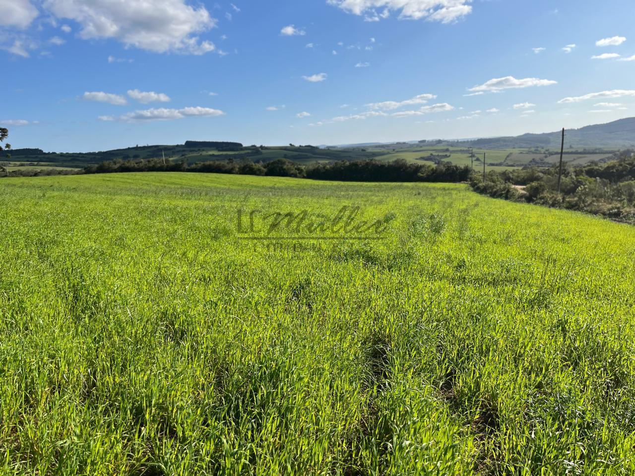 Fazenda à venda, 900m² - Foto 16