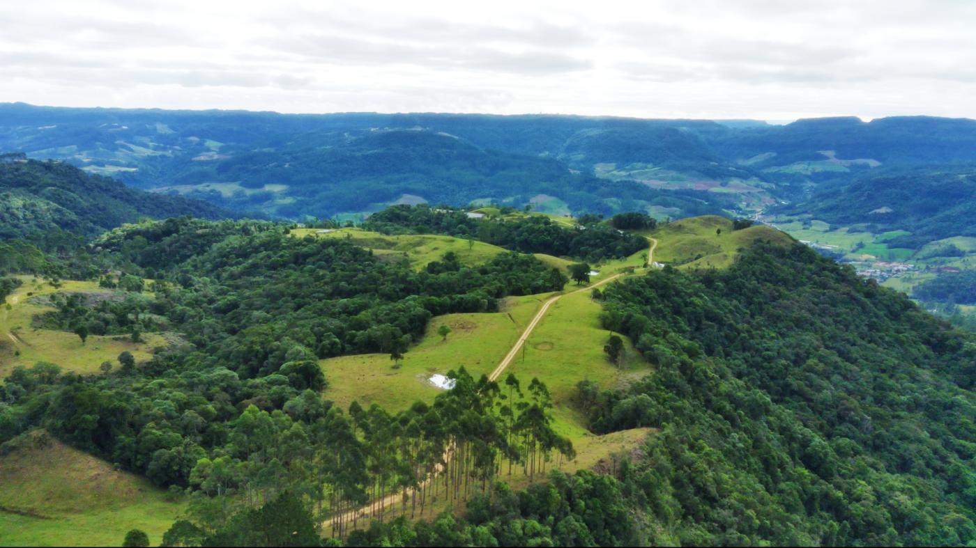 Fazenda à venda com 2 quartos, 862000m² - Foto 23