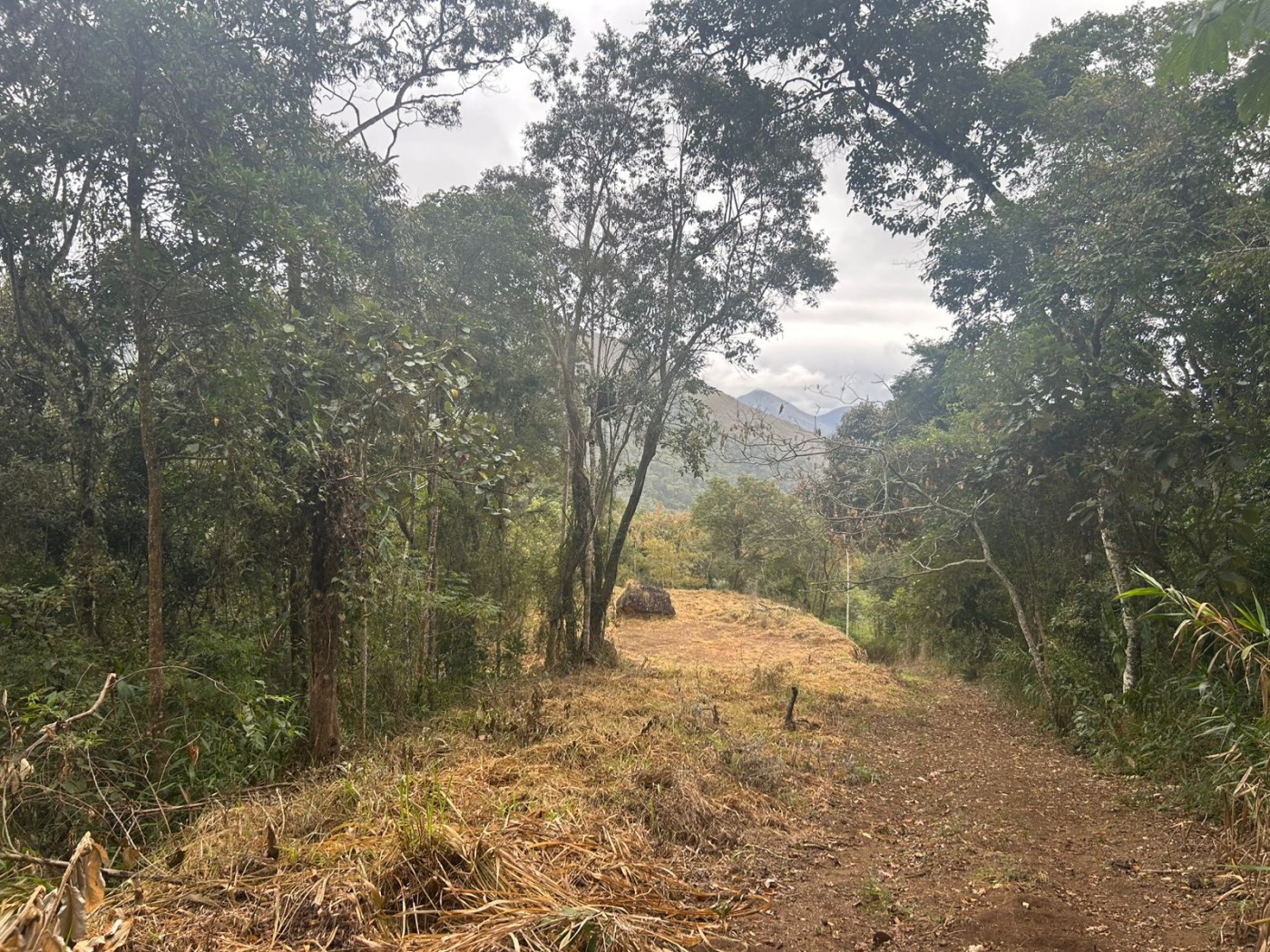 Terreno à venda, 178000m² - Foto 36