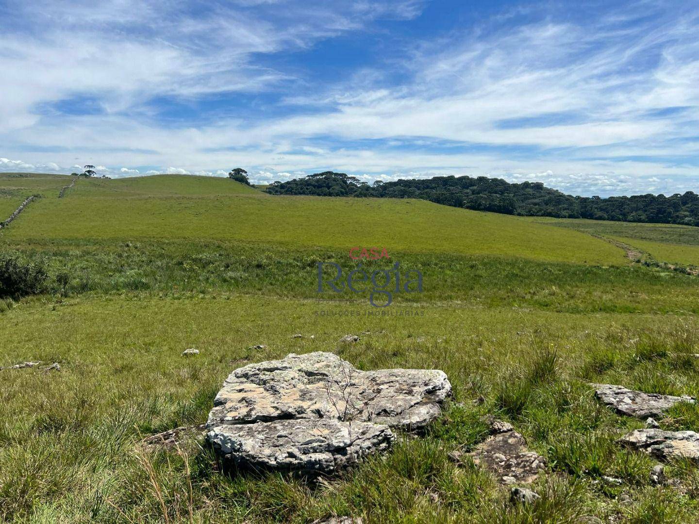 Sítio à venda, 150000M2 - Foto 18