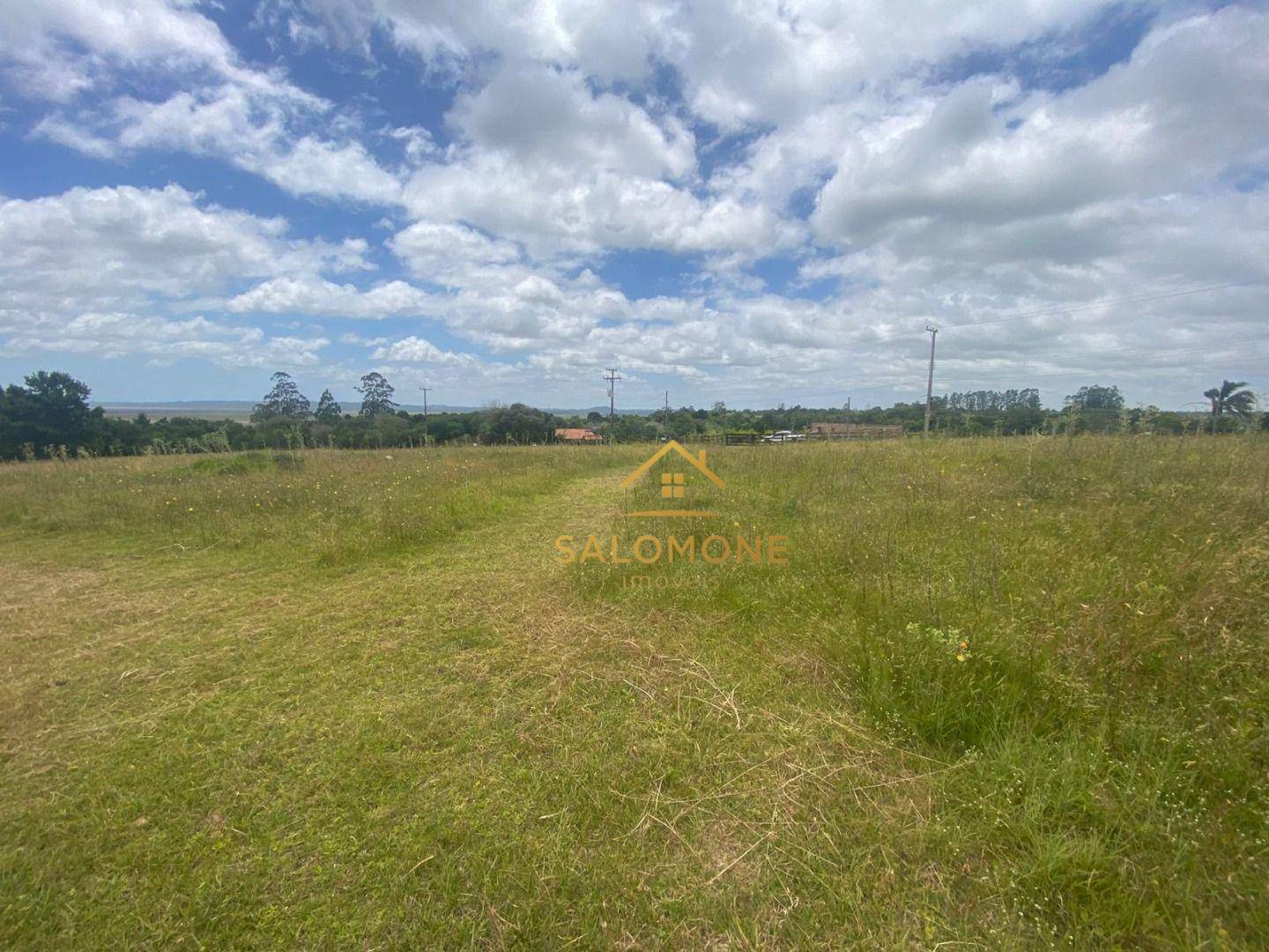 Sítio, 4 hectares - Foto 8