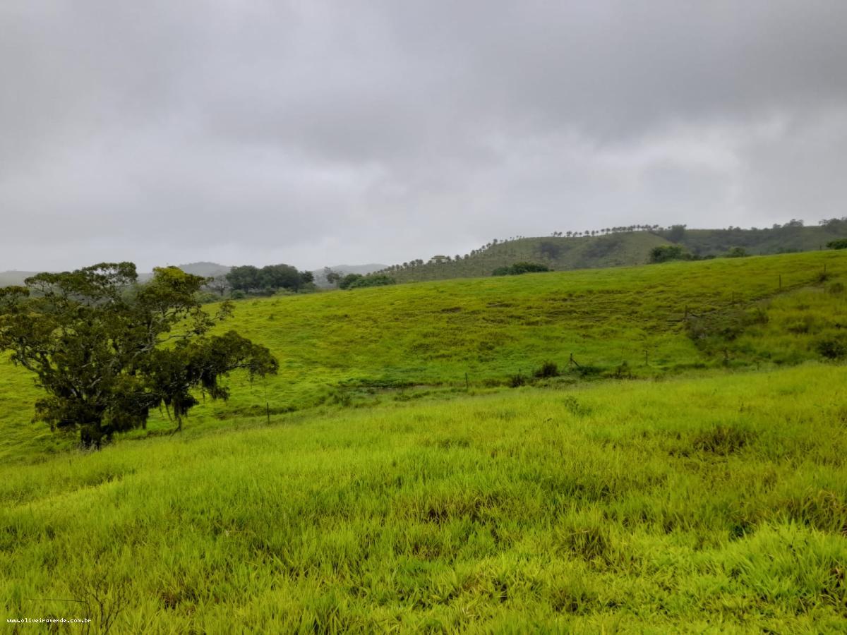 Fazenda à venda com 2 quartos, 61000m² - Foto 23