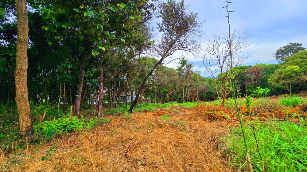 Terreno à venda, 2855m² - Foto 20