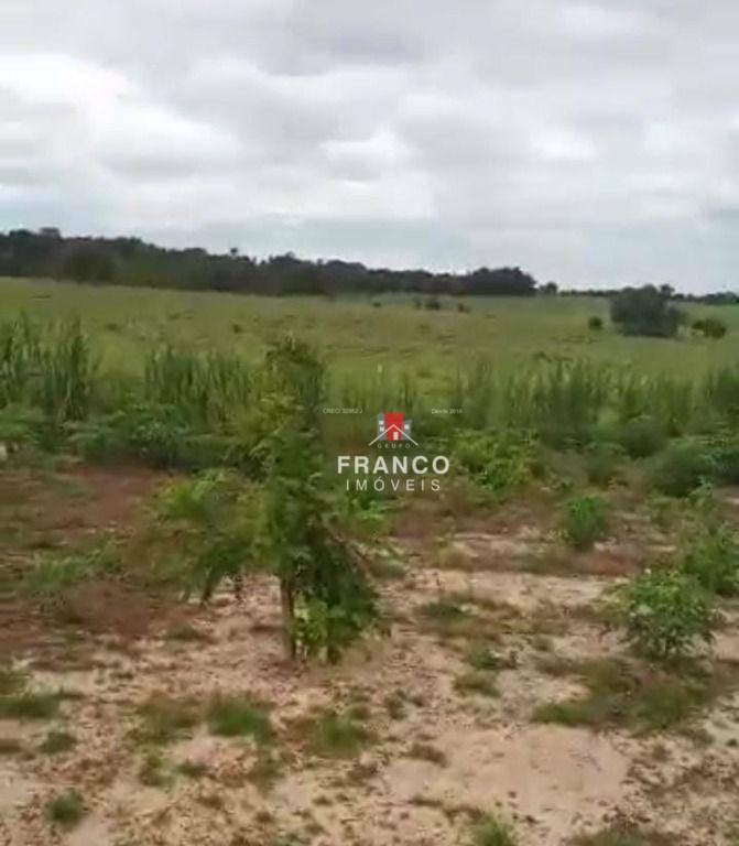 Fazenda à venda com 4 quartos, 126m² - Foto 7