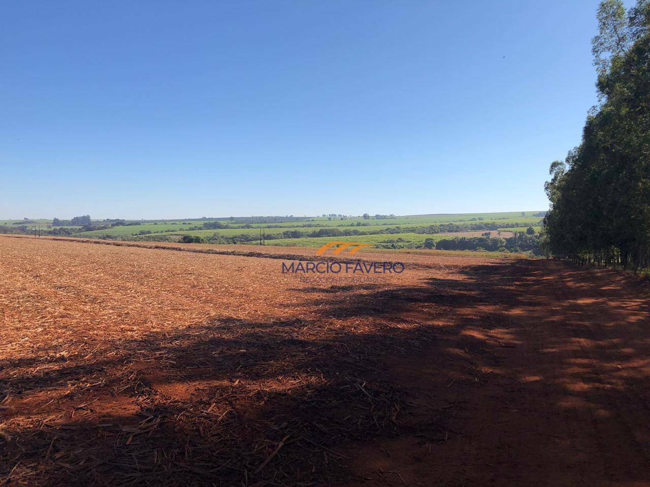 Fazenda à venda, 2299000M2 - Foto 8