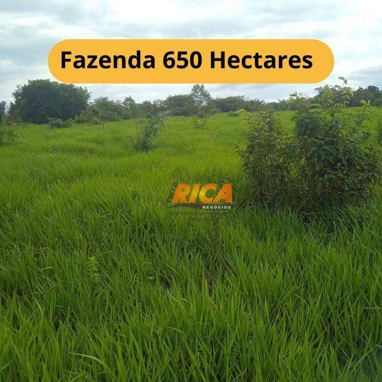 Fazenda-Sítio-Chácara, 650 hectares - Foto 1