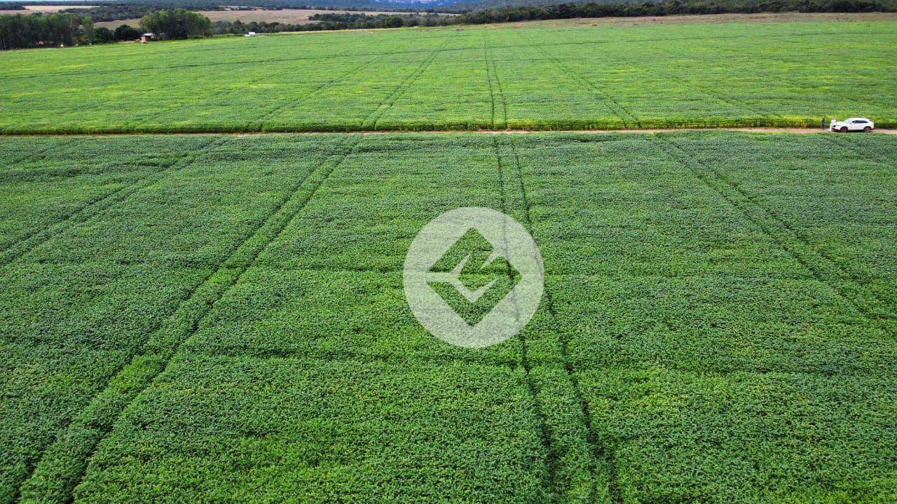 Fazenda à venda, 10000000M2 - Foto 1