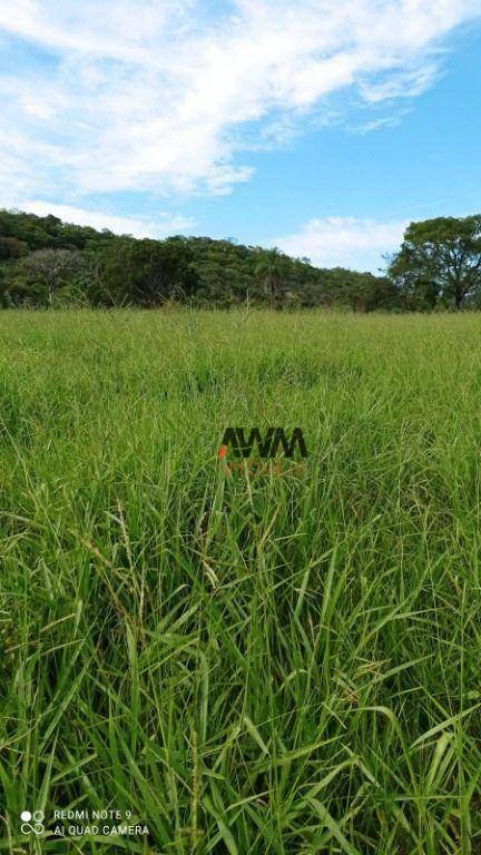 Fazenda à venda, 2444000M2 - Foto 6