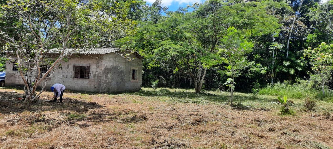 Fazenda à venda com 2 quartos, 3500m² - Foto 4