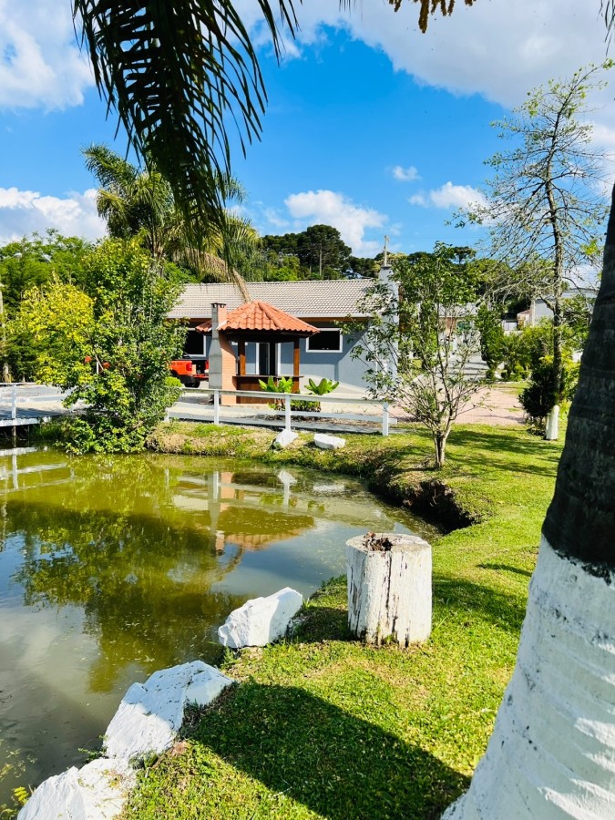 Chácara à venda, 8500m² - Foto 7