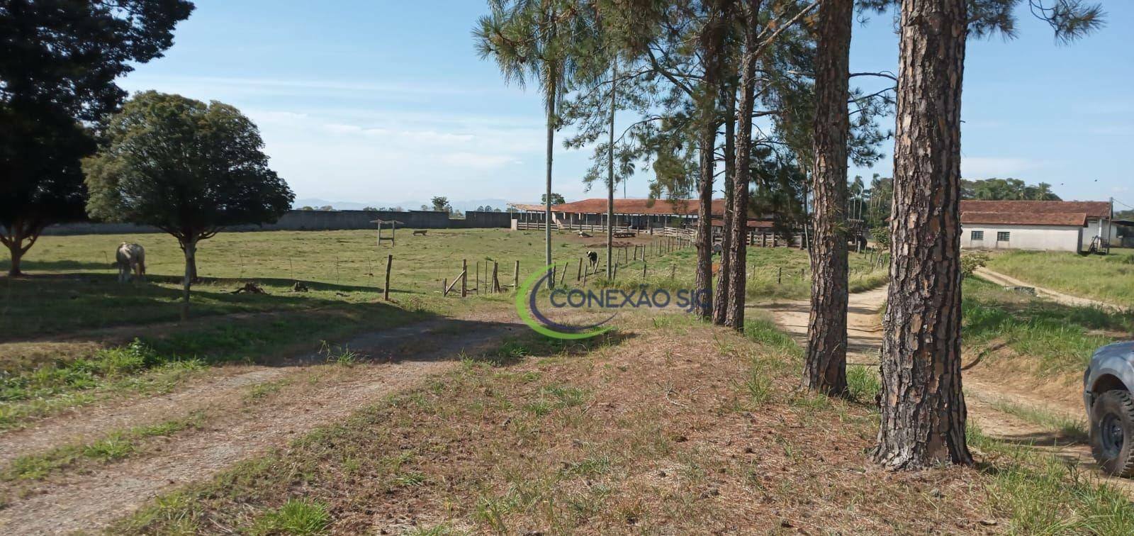 Fazenda à venda com 3 quartos, 970000M2 - Foto 25