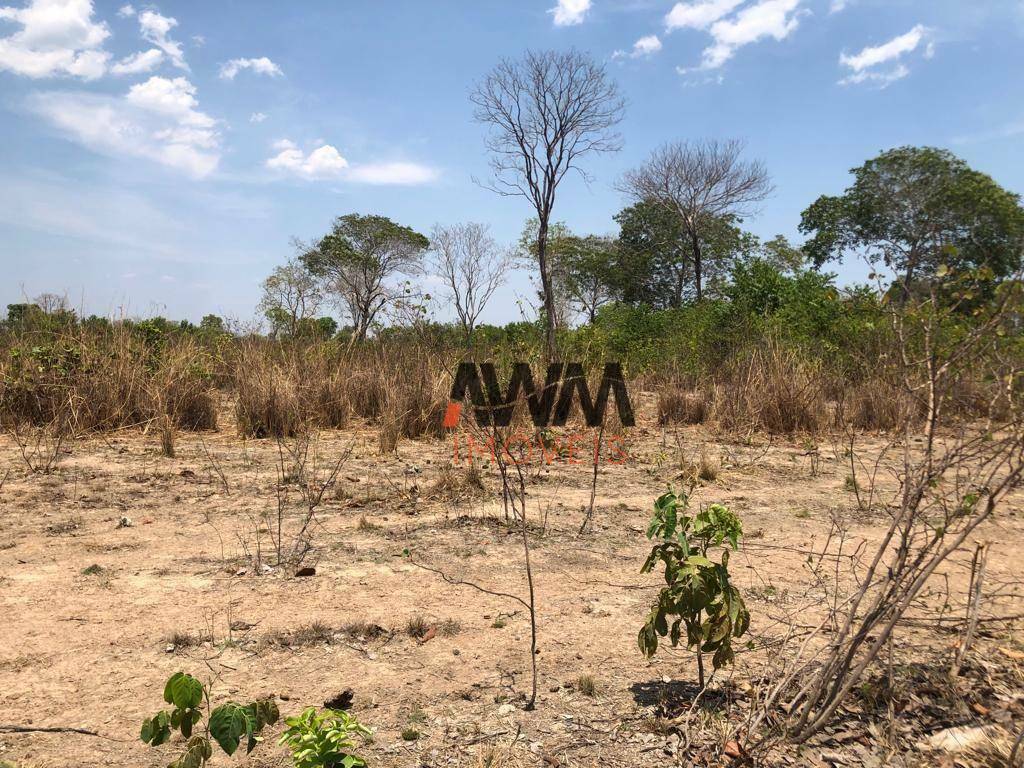 Fazenda-Sítio-Chácara, 1462 hectares - Foto 15