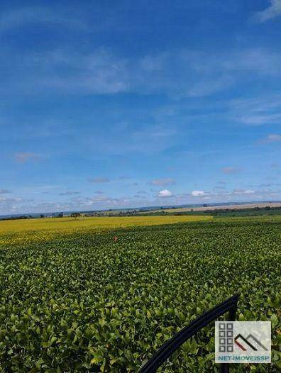 Fazenda à venda com 5 quartos, 500m² - Foto 4