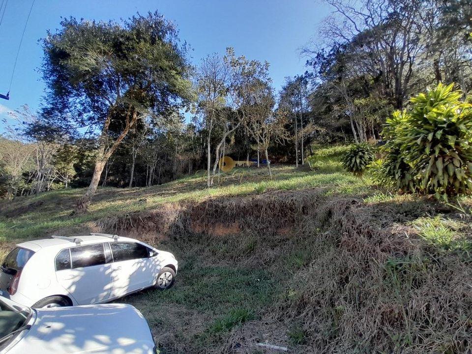 Sítio à venda com 4 quartos, 29000m² - Foto 54