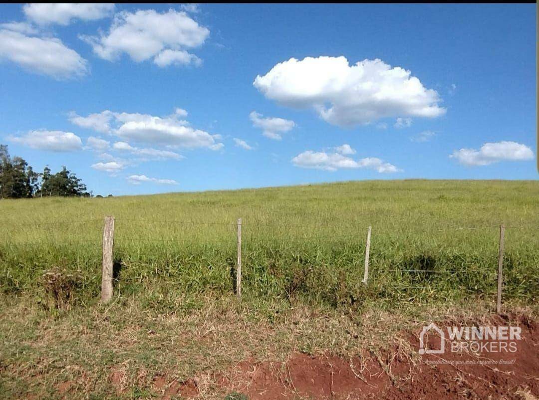 Fazenda à venda com 2 quartos, 2299000M2 - Foto 2