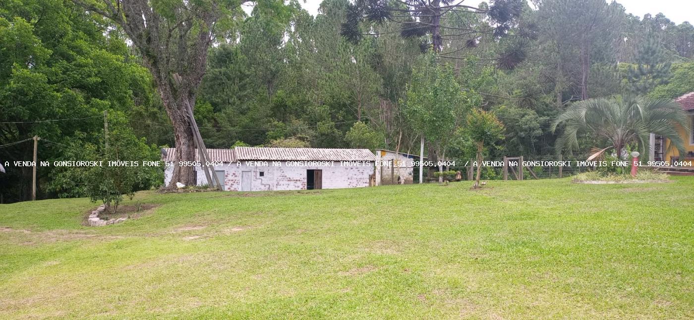 Fazenda à venda com 4 quartos, 130000m² - Foto 34