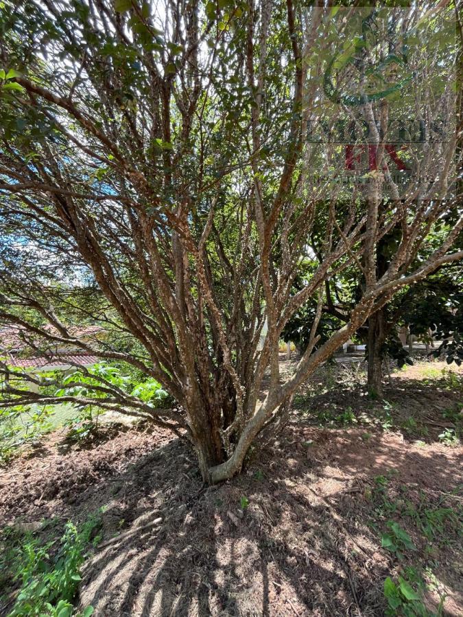 Chácara à venda com 2 quartos, 221m² - Foto 42