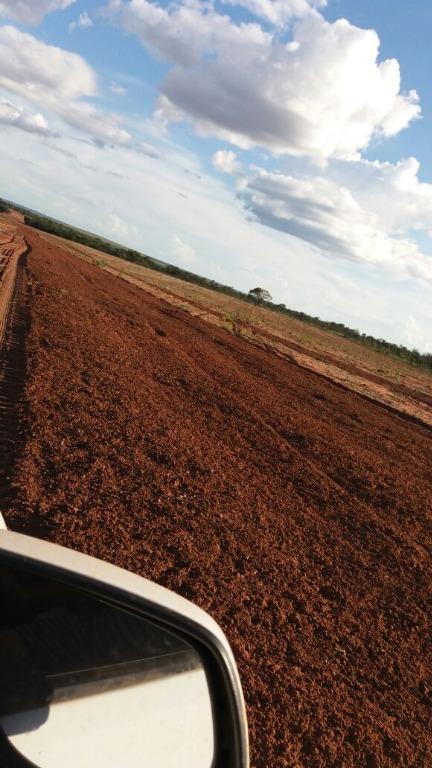 Fazenda-Sítio-Chácara, 14489 hectares - Foto 4