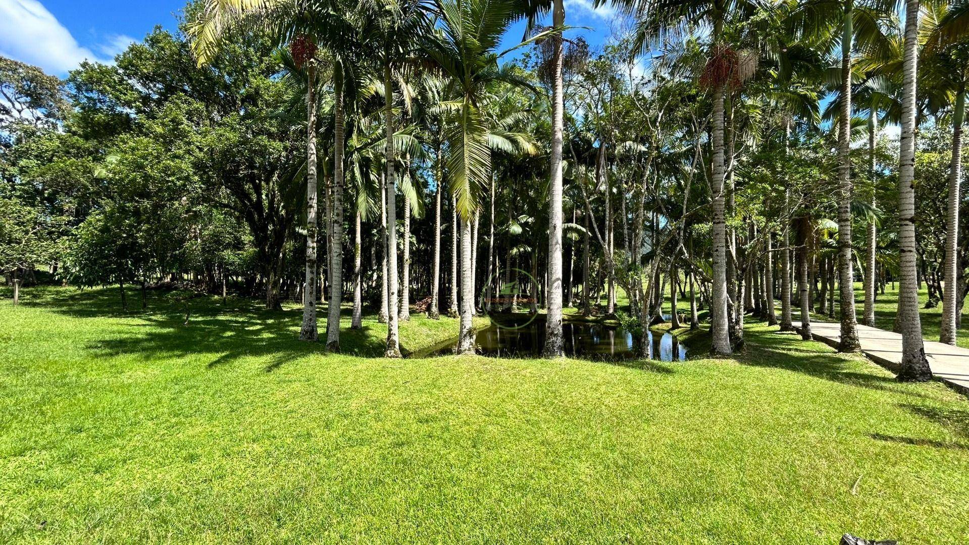 Chácara, 2 hectares - Foto 91