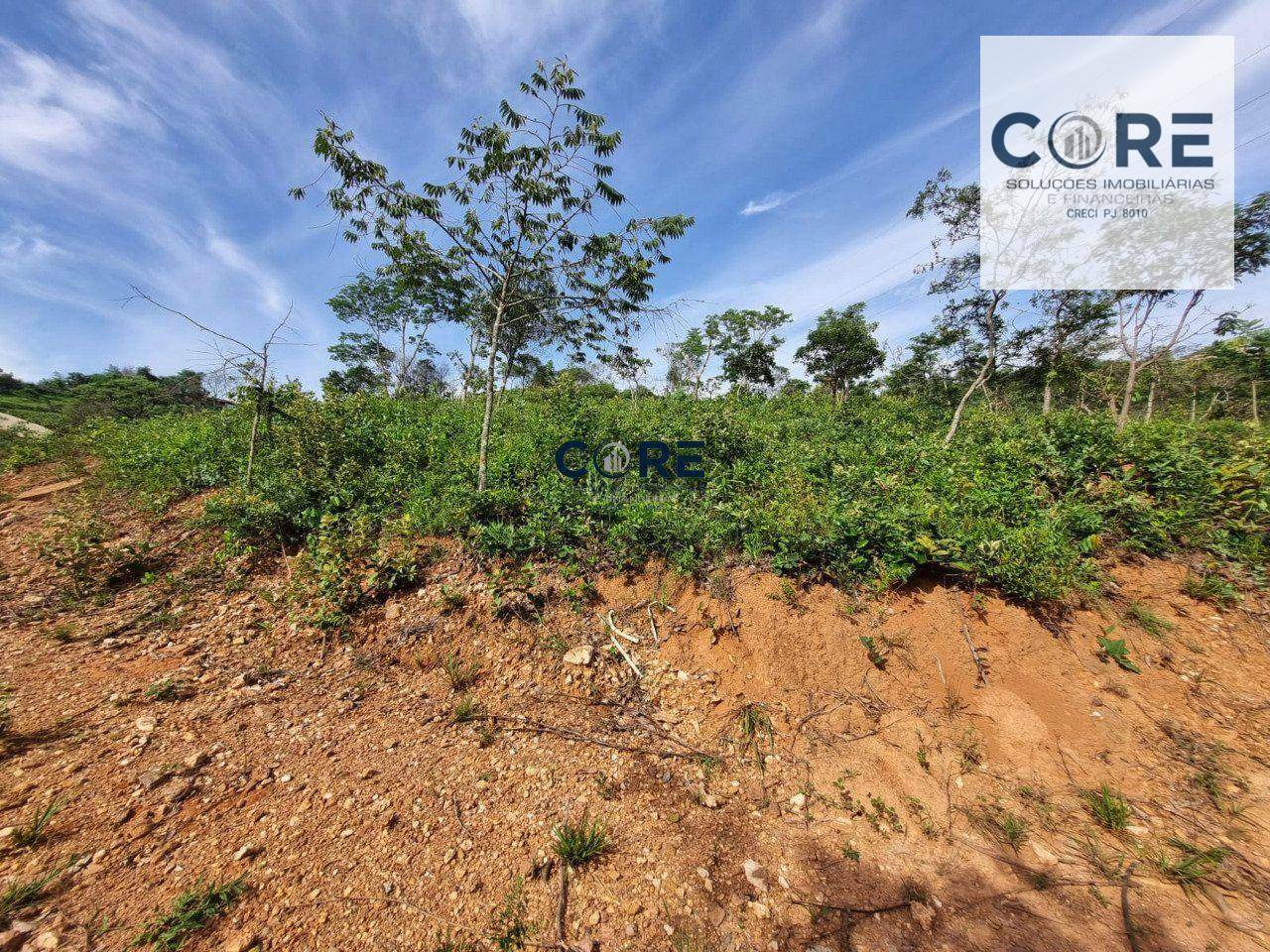 Chácara à venda, 1000M2 - Foto 14