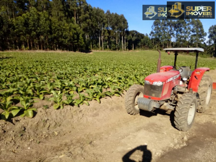 Fazenda à venda com 2 quartos, 450000m² - Foto 14