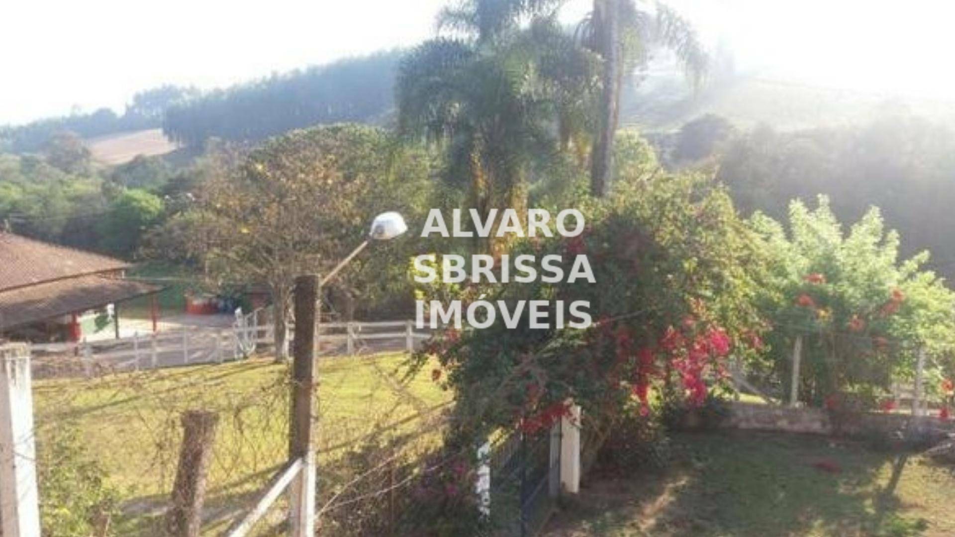 Chácara à venda com 3 quartos, 25000m² - Foto 23