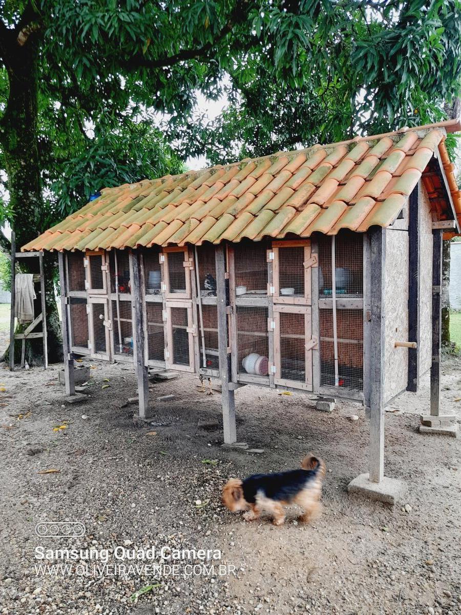 Fazenda à venda com 3 quartos, 20000m² - Foto 14