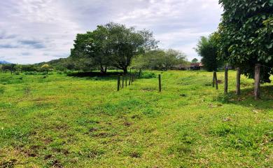Sítio à venda com 3 quartos, 17000m² - Foto 20