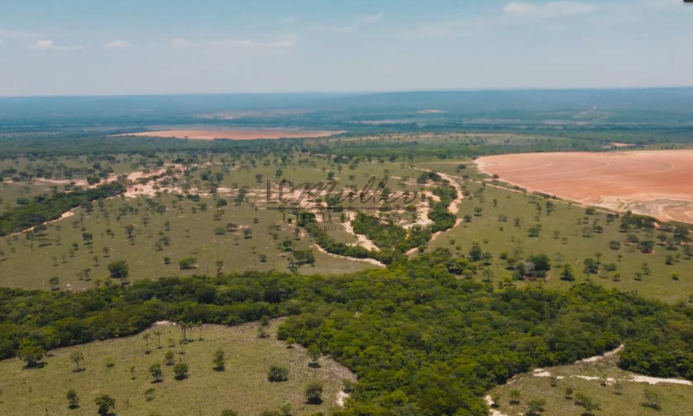 Fazenda à venda, 10000m² - Foto 15