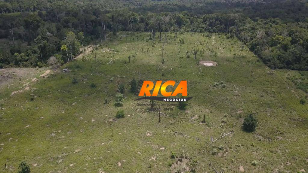 Sítio, 40 hectares - Foto 7