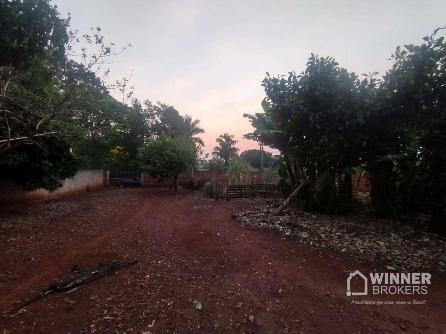 Chácara à venda com 1 quarto, 1000M2 - Foto 6