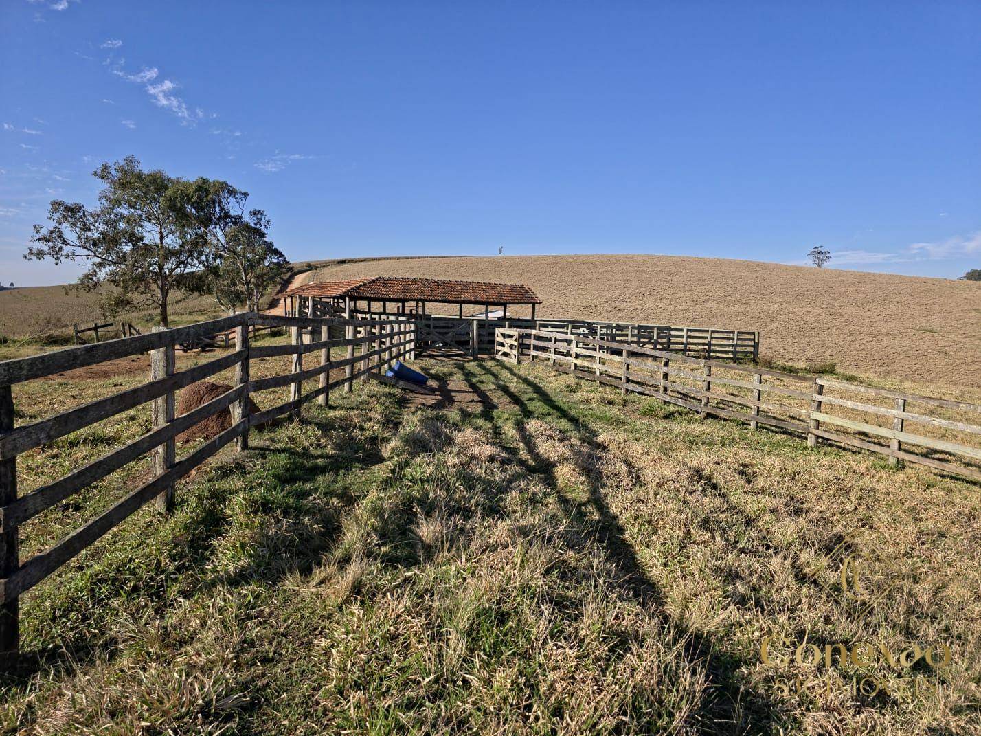 Fazenda, 171 hectares - Foto 1