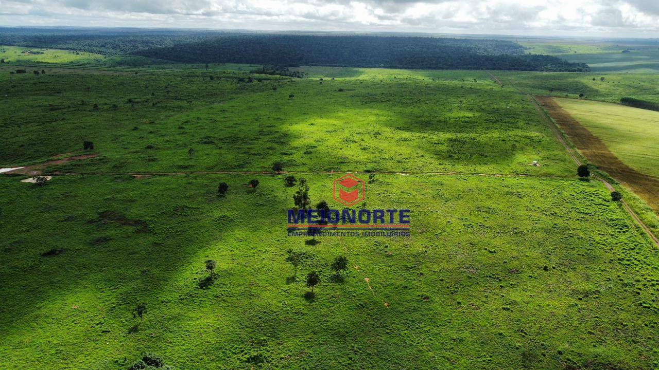 Fazenda à venda com 4 quartos, 4800000M2 - Foto 10