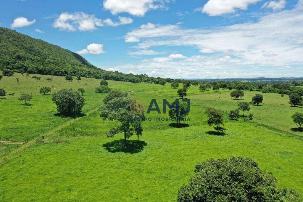 Fazenda à venda com 6 quartos, 500m² - Foto 15