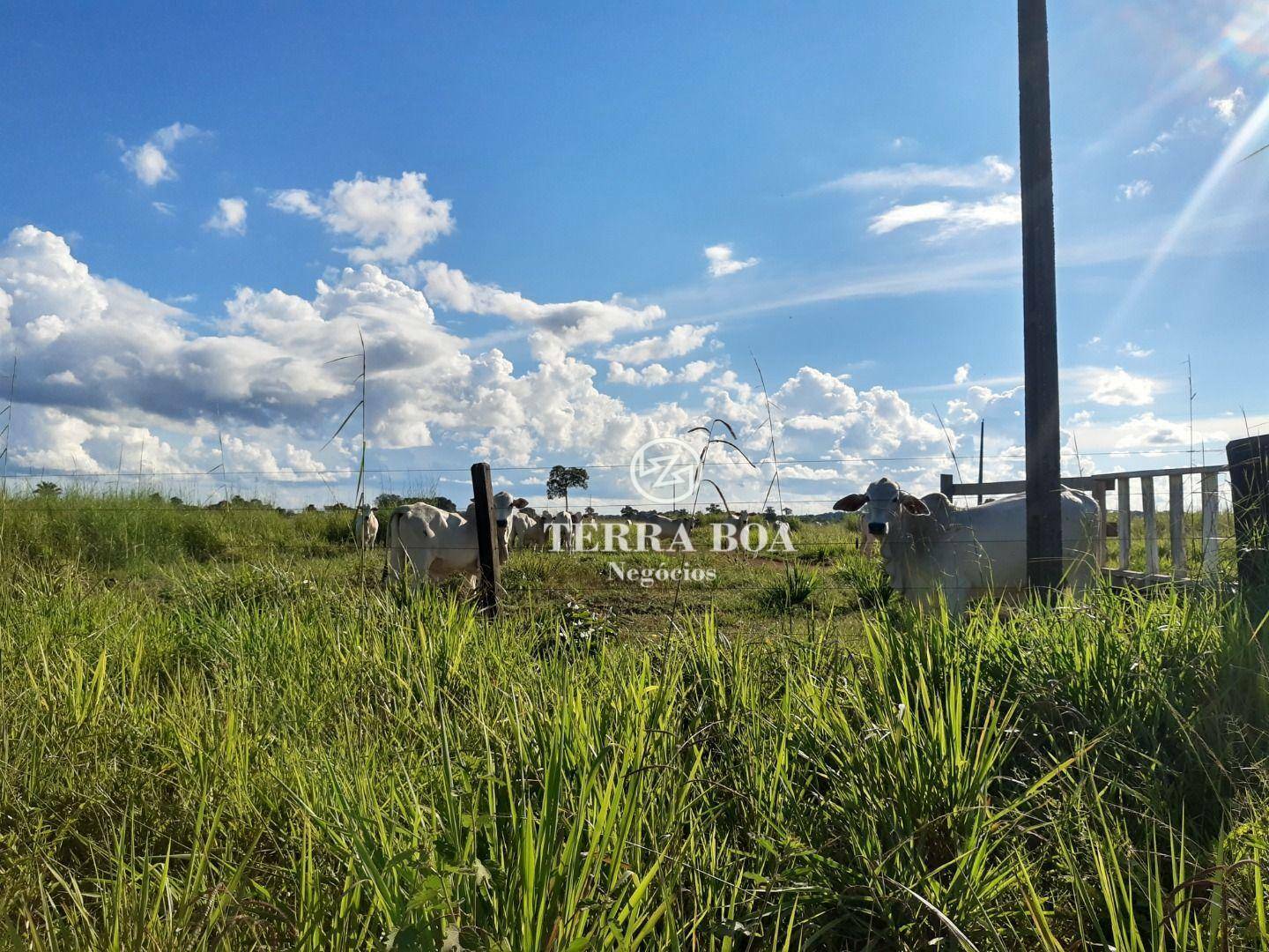 Fazenda à venda, 16000000M2 - Foto 20