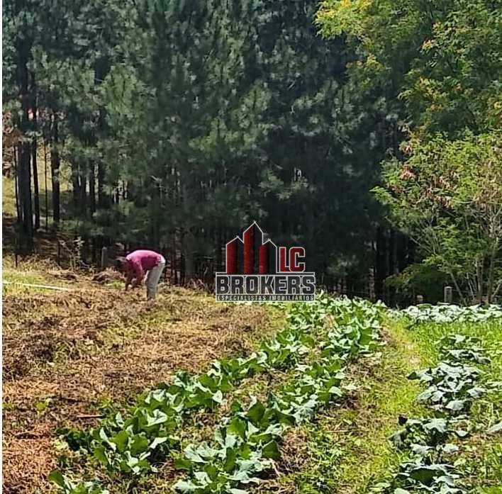 Chácara à venda com 5 quartos, 48400M2 - Foto 6