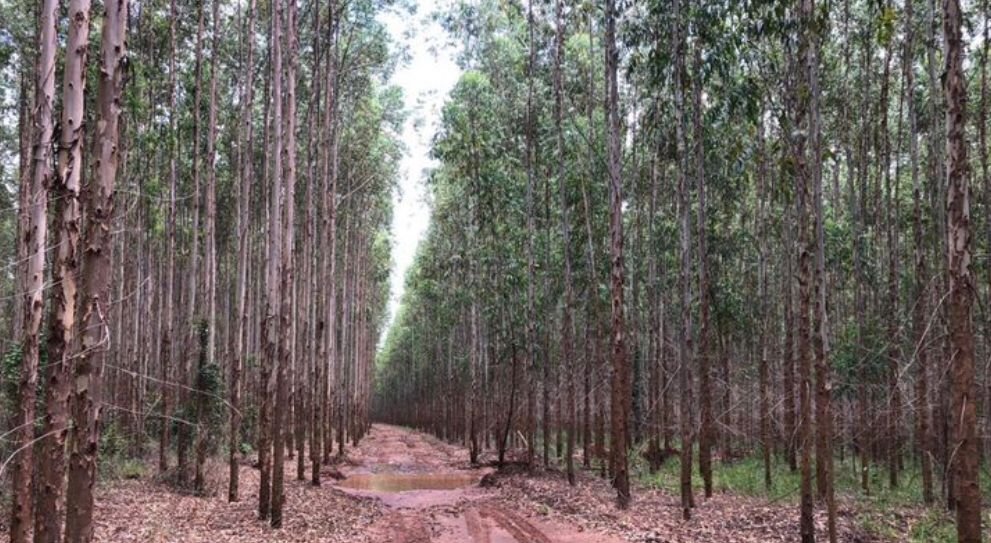 Fazenda à venda, 449m² - Foto 7