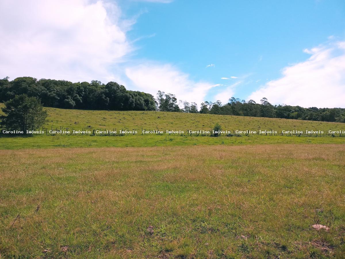 Fazenda à venda com 5 quartos, 625000m² - Foto 36