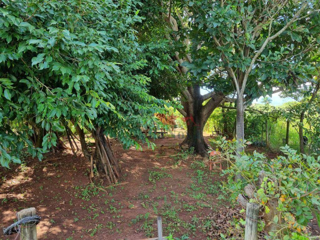Chácara à venda com 2 quartos, 1000M2 - Foto 13