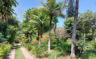 Fazenda à venda com 3 quartos, 8000m² - Foto 20