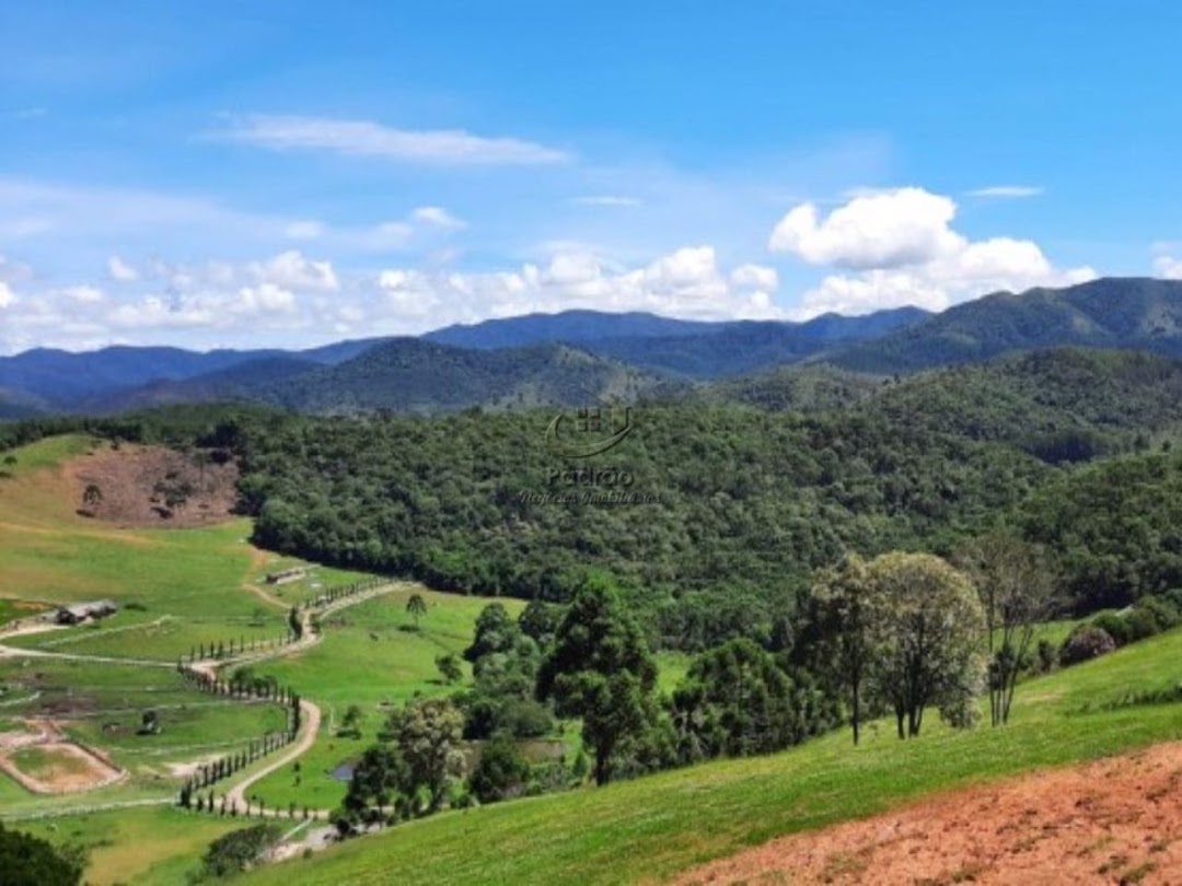 Fazenda à venda com 6 quartos, 1000m² - Foto 14