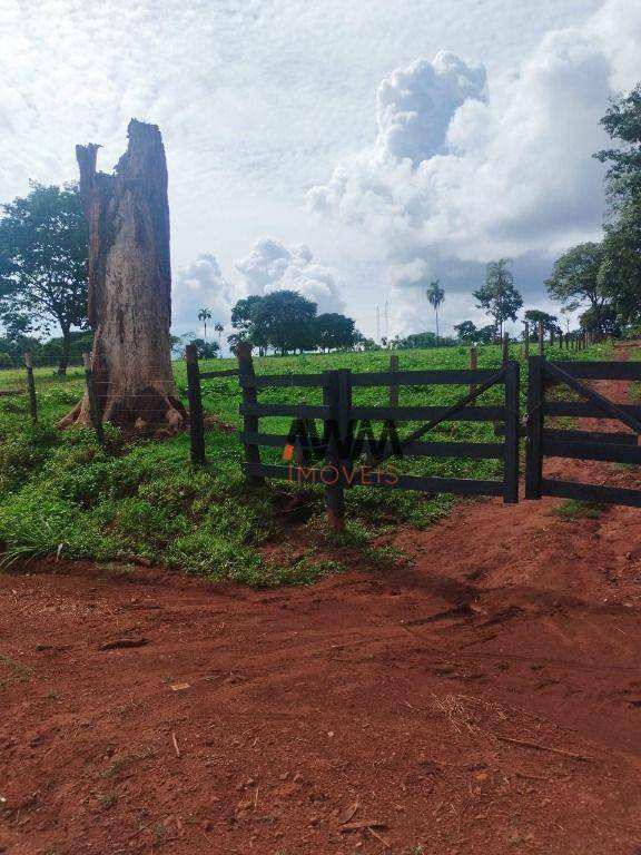 Fazenda à venda, 249260M2 - Foto 2